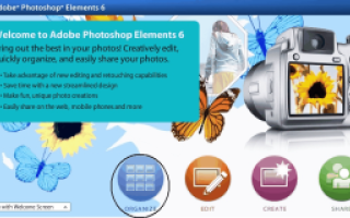 How to find all faces using Adobe Photoshop Elements 6.0?